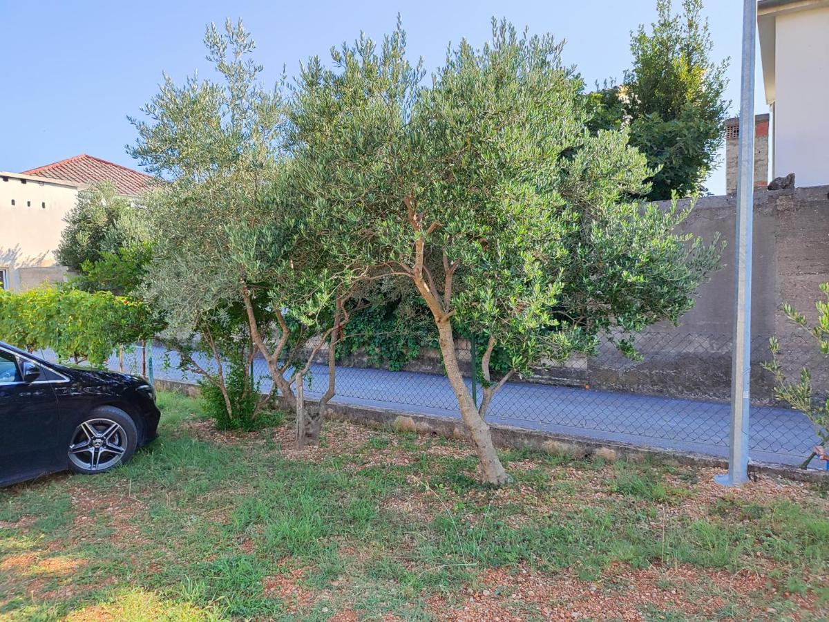 Apartmani Malo More Seline Εξωτερικό φωτογραφία